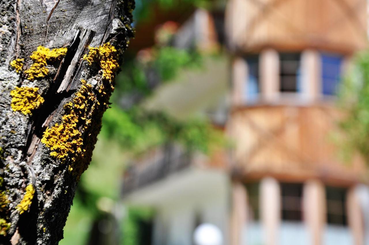 Guesthouse Rungg Badia (South Tyrol) Luaran gambar