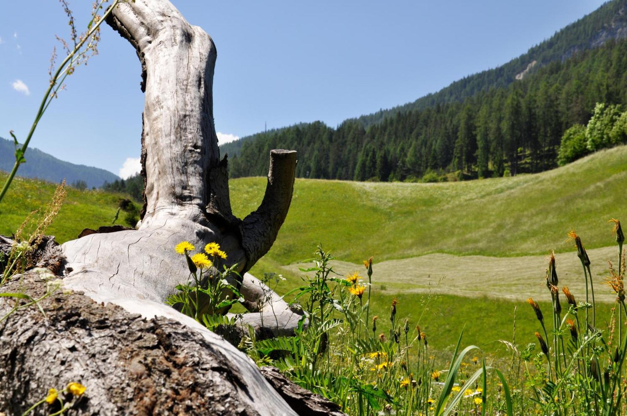 Guesthouse Rungg Badia (South Tyrol) Luaran gambar